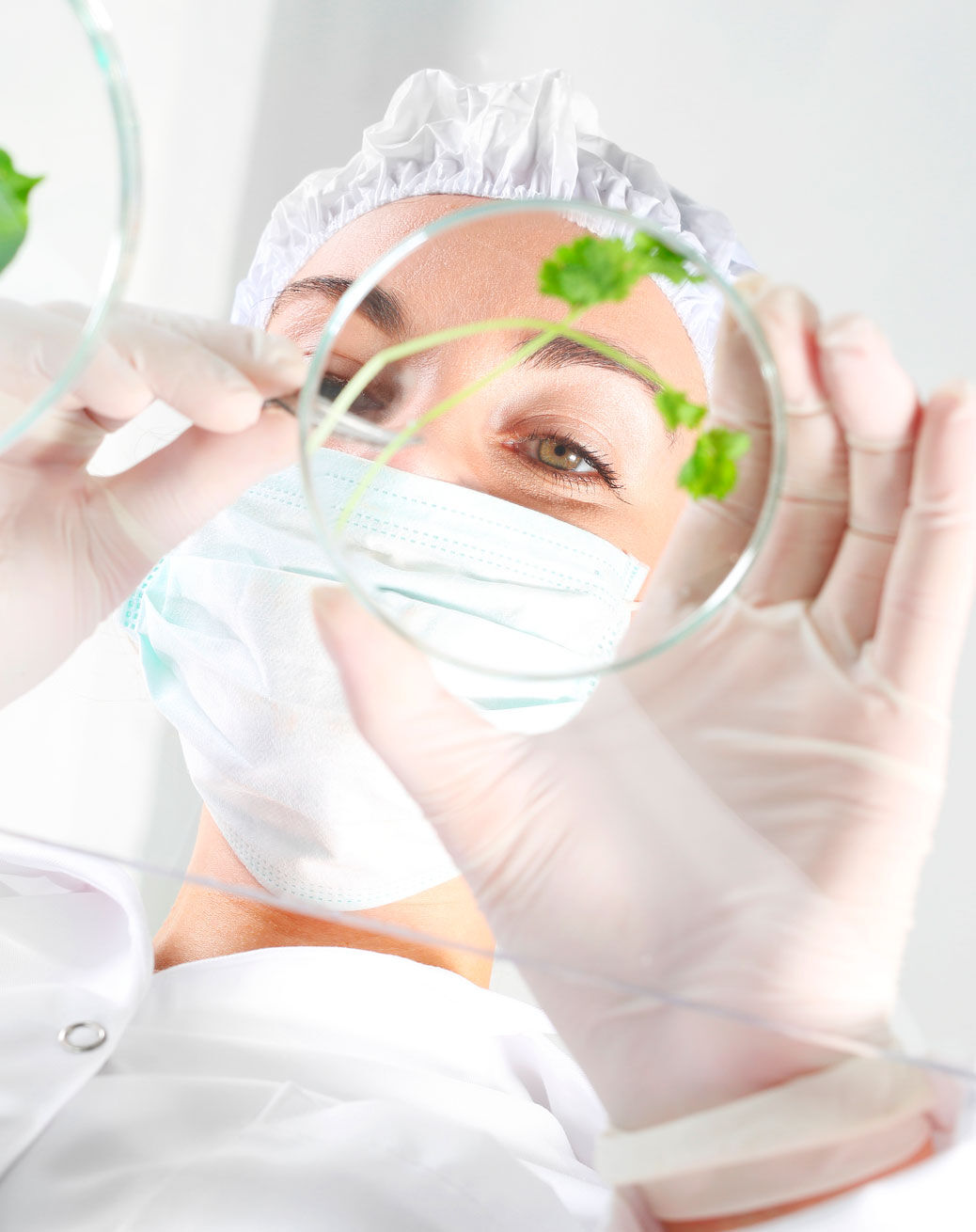 Sophieskin es la marca profesional de cosm&eacute;ticos para todxs.