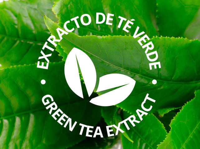  Imagen representativa ingrediente T&eacute; Verde